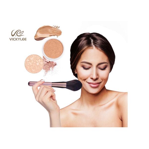 Animal Hair 12 In 1 ODM Facial Makeup Brushes