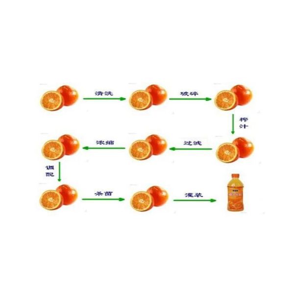 8000 BPH Apple Fruit Juice Processing Plant Stainless Steel Low Energy Consumption