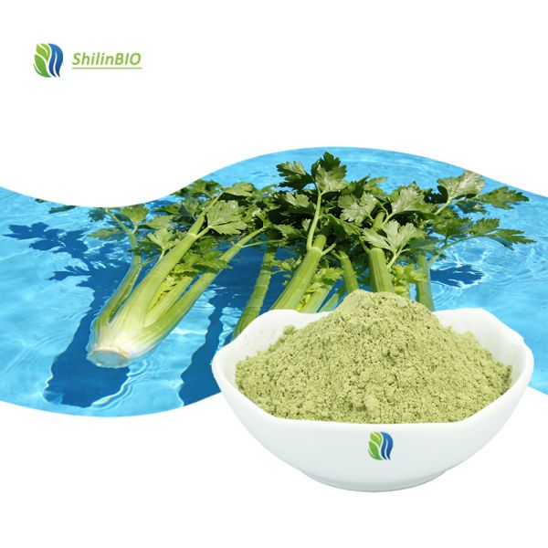 SLBIO High Quality Celery Powder Food Grade Apium Graveolens Powder