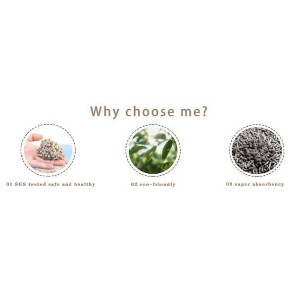 Revolutionary and Eco-Friendly Eco Pine Wood Cat Litter Pellets for Pet Cleaning