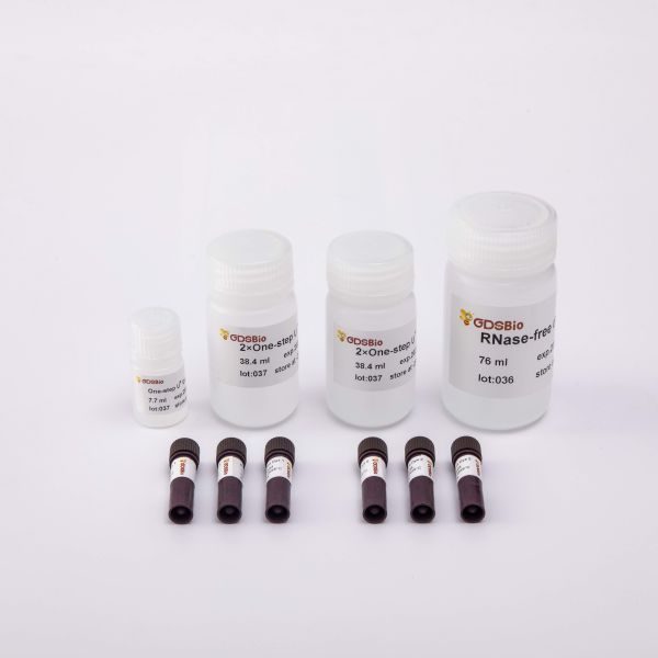 Смешивание 30UL/Rxn RT QPCR шага V5002 5000rxn одного мастерское