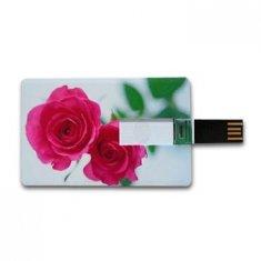 Memoria USB retractable AT-045C de la tarjeta de crédito