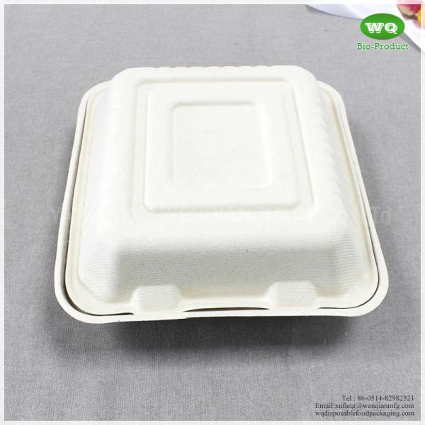 8x8 Inch Three Compartments Compostable Sugarcane Fiber Disposable Lunch Box-Disposable Food Packaging Manufacturer