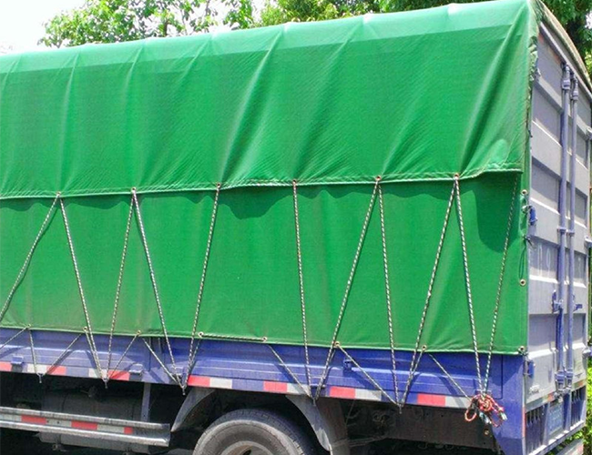 Anti-Mildew PE Coated Coated Fabric Abrasion-Resistant