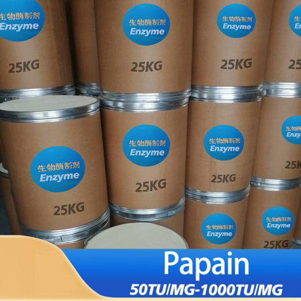Enzymes de feuilles de papaye personnalisés 50TU/MG-1000TU/MG 300USP-6000USP