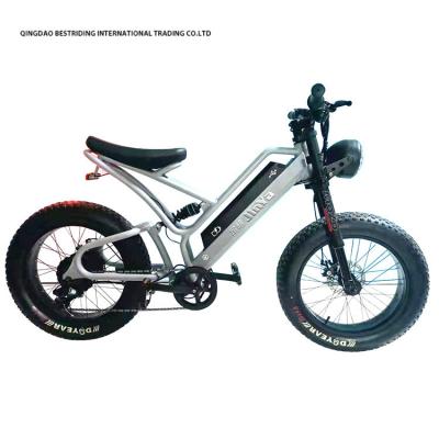 Suspensão de garfo dianteiro 20 polegadas de bicicleta elétrica da cidade para passageiros urbanos 48V Ebike
