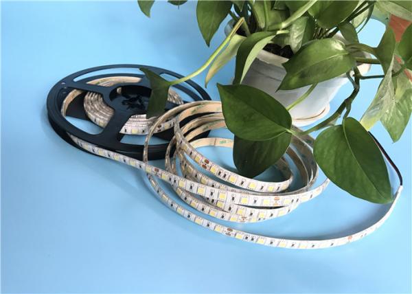 LED Ribbon Lights / Flexible LED Strip Light With 5050 SMD 60pcs Per Meter