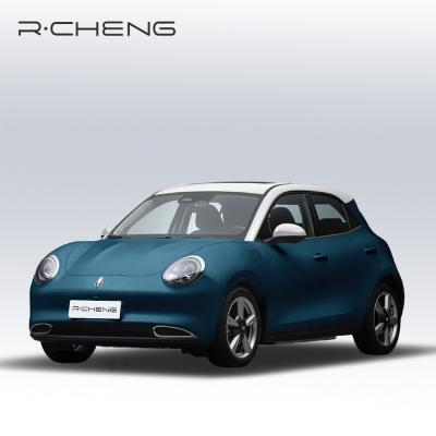 Left Steering Ora HaoMao EV Mini Car Family Electric Vehicle 150km/H