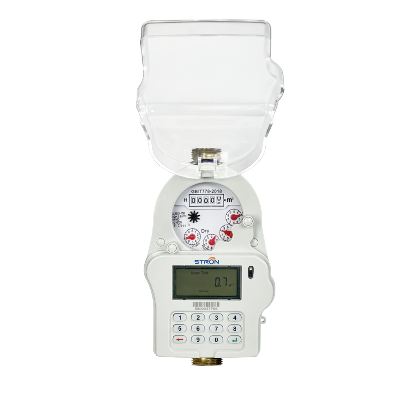 STS Keypad Prepaid Water Meter R100, All‑In‑One Integrated Type, IP68, DN15/DN20/DN25, Optional LoRa‑RF Communication