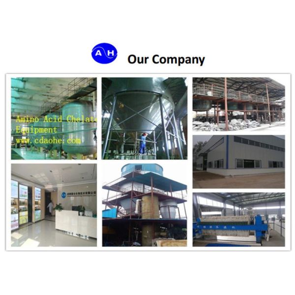 Planta orgânica solúvel seca do quelato 10% do Peptide do ácido aminado do zinco baseada