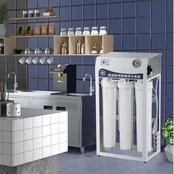 Commercial Ro Water Treatment System 600 Gallon 500L/Hour