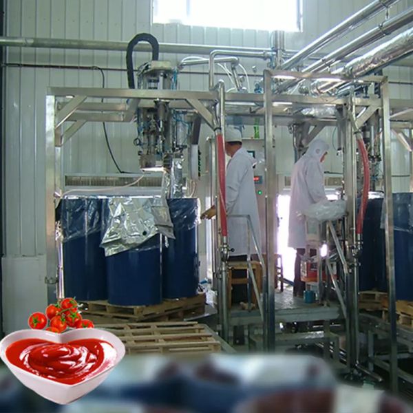 customized cpmplete Tomato processing Line In China tomato sauce process machine high quality equipment for tomato juice/sauce/jam