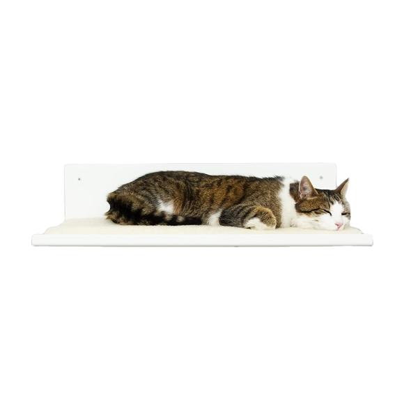 Standard Cat Climbing Furniture with Black Powder Coated Pet Hammock and Pet Condo
