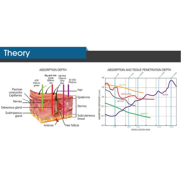 Diode Laser Hair Removal Machine ADSS Fast and Permanent 808nm Ce Stationary Abs for Commercial & Home Use,for Commercial CN;BEI