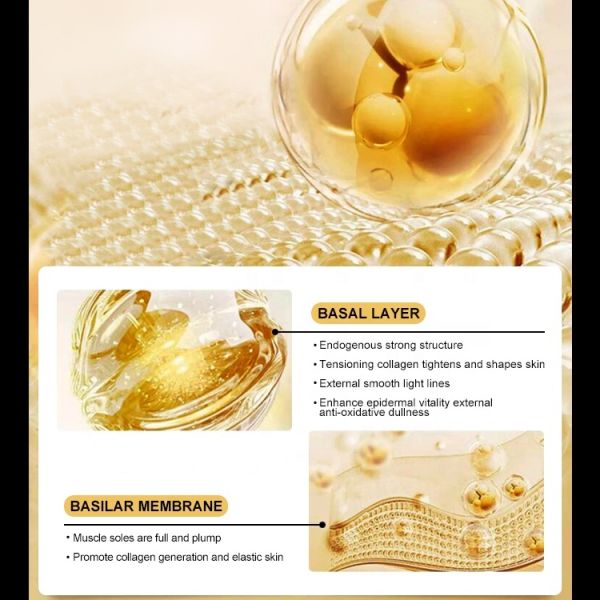 Proxylane Anti-Aging Firming Face Cream Lotion with Ceramide Astaxanthin Custom Logo White Label Skin Care Products for Home Spa