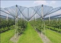 Obscuridade da agricultura - redes da saraiva do HDPE verde anti, taxa da máscara de 10% - de 20%