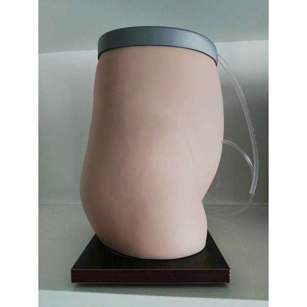 Clinical Simulation UN Suppiler Peritoneal Dialysis Training Model for School Education