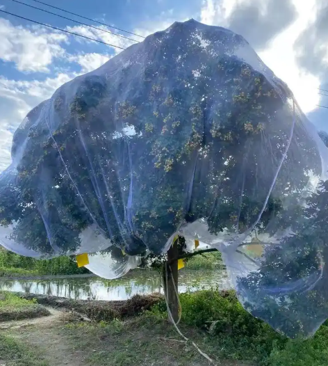 10x50m Plastic Insect Mesh Cover For Plant And Fruit Tree Net Cover