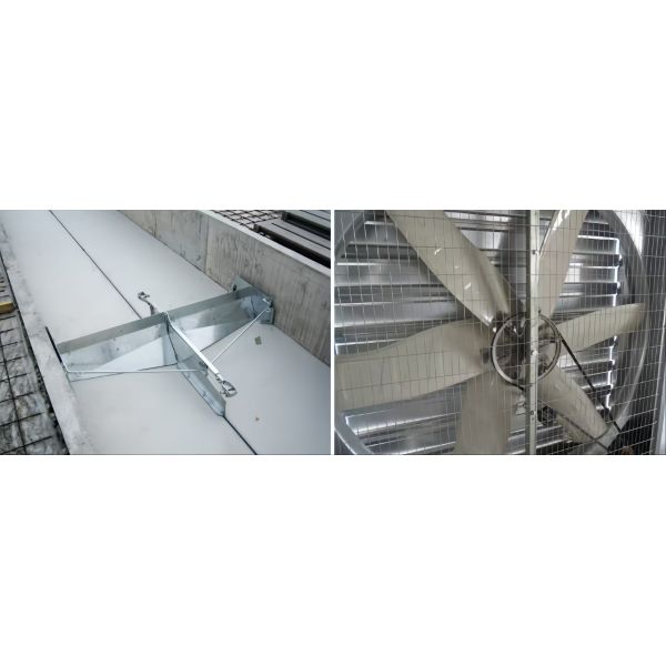 Construcción Estructura prefabricada de acero Granja de cerdos Casa de granja / Estructura de acero Granja de vacas