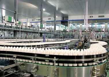 PET Bottle Beverage Making Machine Producing Walnut Peanut Milk / Corn Juice