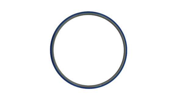 Double Round Wafer Hoop Ring With Blue Film High Compatibility Most Used In Wafer Testing