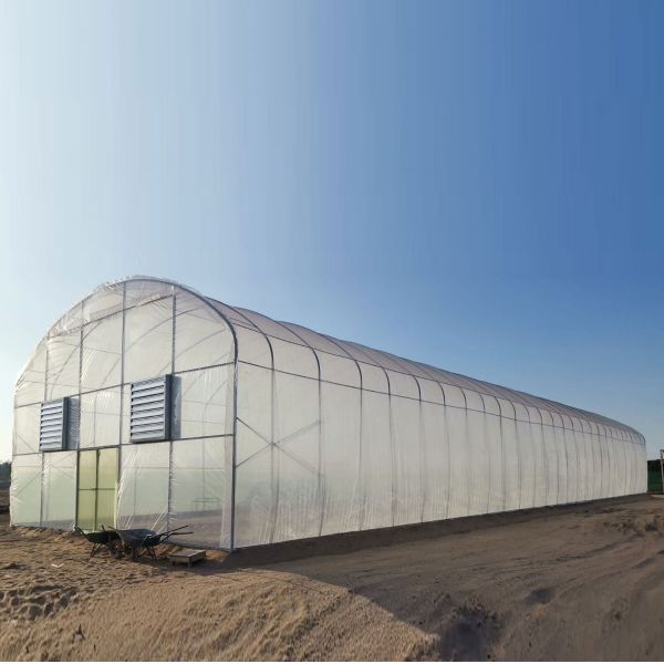 Serre à film plastique avec système hydroponique