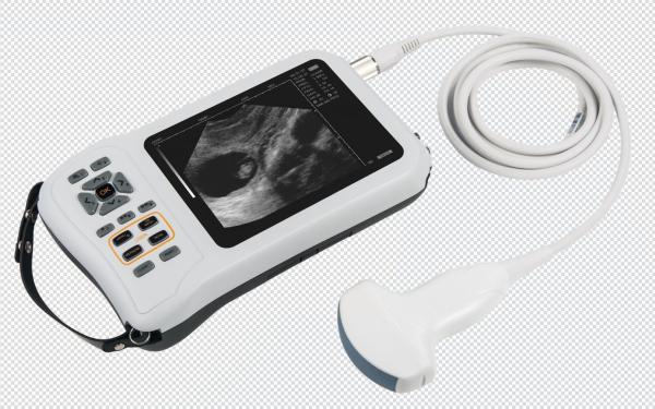 5.8 inch Mobile Ultrasound Machine Fetal Doppler scanner FarmScan® L60 human