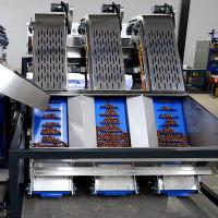 Máquina de classificação de aço inoxidável de 12 porcas dos canais para a macadâmia