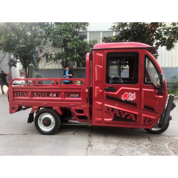 Tricycle électrique de chargement Tricycles motorisés à 3 roues DY3-150 à vitesse maximale de 45 km/h