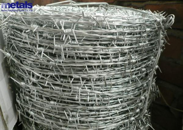 Electro Galvanized BWG12x12 Barbed Concertina Wire for Security Fencing