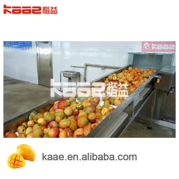 Automatic Mango Juice Production Line SS304  All Fruit Juice Making Machine