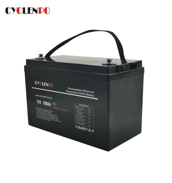 Black Color Bluetooth Lithium Li Ion Battery Pack Self Heated Lifepo4 12V 100Ah