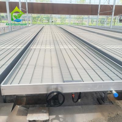 Ebb And Flow Seedbed Greenhouse Rolling Benches Grow Table Indoor Farming