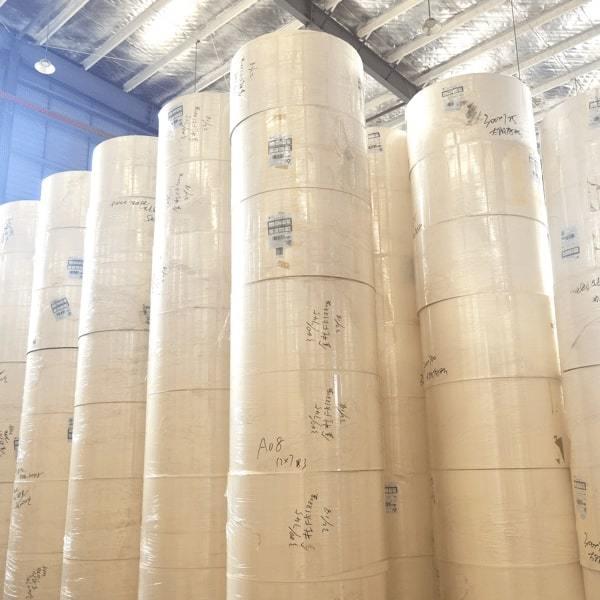 Rollo de papel recubierto de PLA respetuoso con el medio ambiente para soluciones de embalaje de alimentos