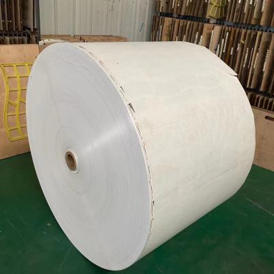 le PE de double de 185G 190G a enduit le petit pain de papier enduit en plastique de papier