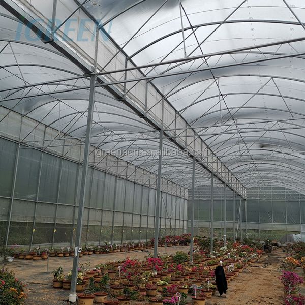 IGreen Tunnel Strawberry Greenhouses for Sale Price of M2 Agricultural Greenhouse
