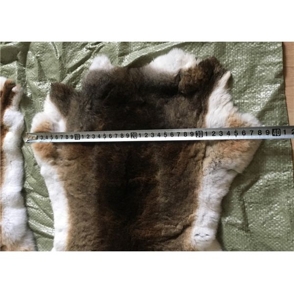 Piel caliente Winderproof del conejo de Rex del super suave para hacer la manta de la ropa/del conejo