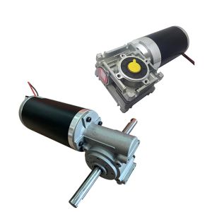 Brush DC Worm Gear Motor