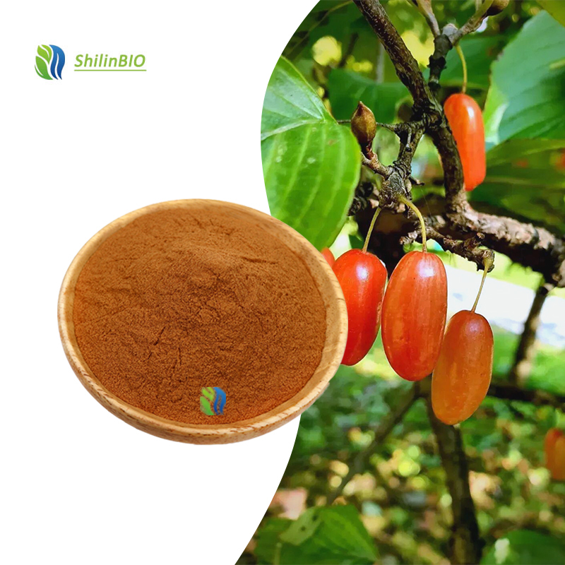 SLBIO Supply 10:1 20:1 Cornus Officinalis Fruit Extract Powder Food Grade Water Soluble Plant Extract