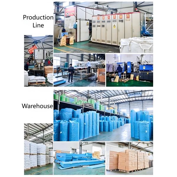Aluminum Frame Polycarbonate Window Awning Door Window Awnings Protective Durable Weather Resistant Lightweight Covering