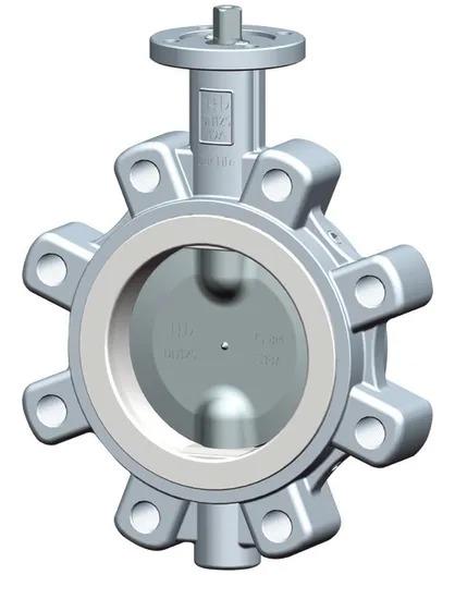 B55 Ceramic Flanged Ball Valves