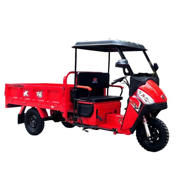 DAYANG Tricycles à cadre épais Trois roues Adultes Mini-camion Cargo Tricycle Trike de livraison