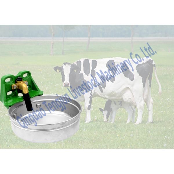 Dairy Cow Horse Water Bowl Brass Valve Wall Or Tube Mounting For Equine