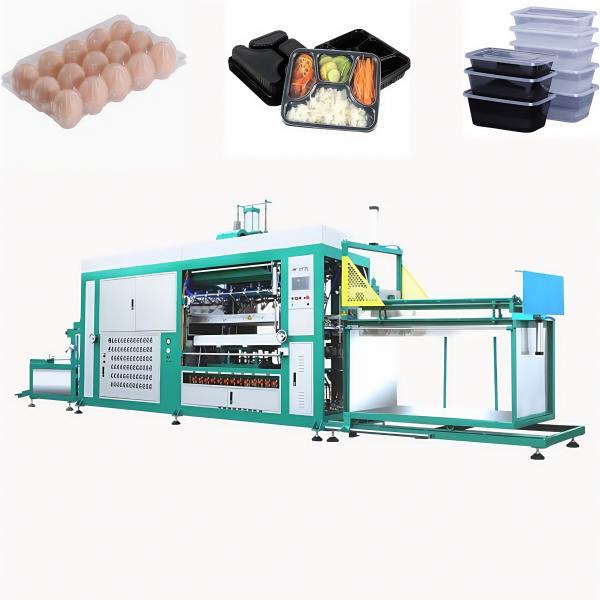 Fully Automatic plastic food container making machine
