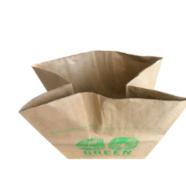 Flexo imprimant des sacs en papier de pelouse de Multiwall de 2 couches biod