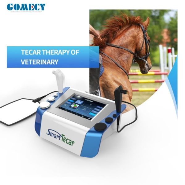 Portable High-Performance Radiofrequency Tecar Therapy Machine for Horse Sports Injuries - Advanced Physiotherapy Treatment
