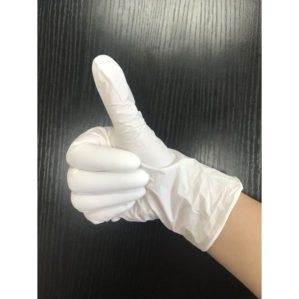 Disposable Nitrile Powder Free Gloves Examination Latex Gloves 240mm Length