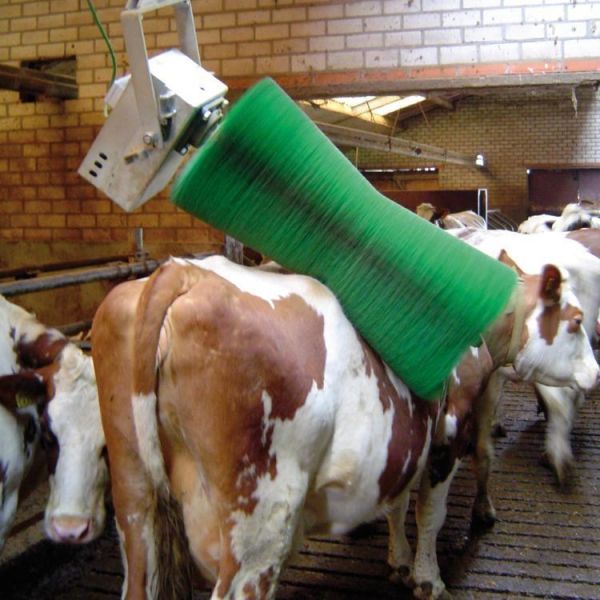 Automatic Rotatable Cow Body Brush with 100W Motor Power and 50*60cm Size for Livestock Massage and Grooming