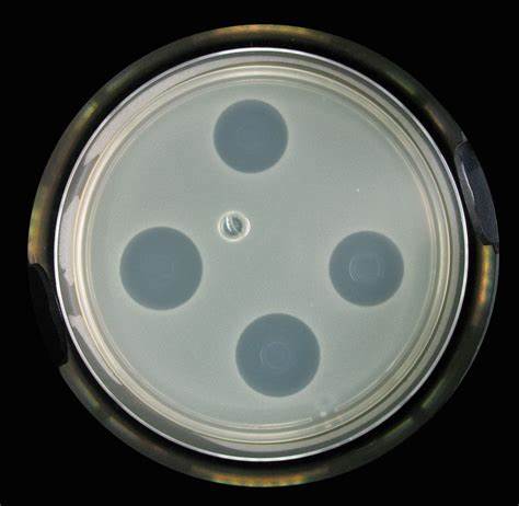 FAMI QS Certified Essential Oils For Animal Feed With Antioxidant Properties