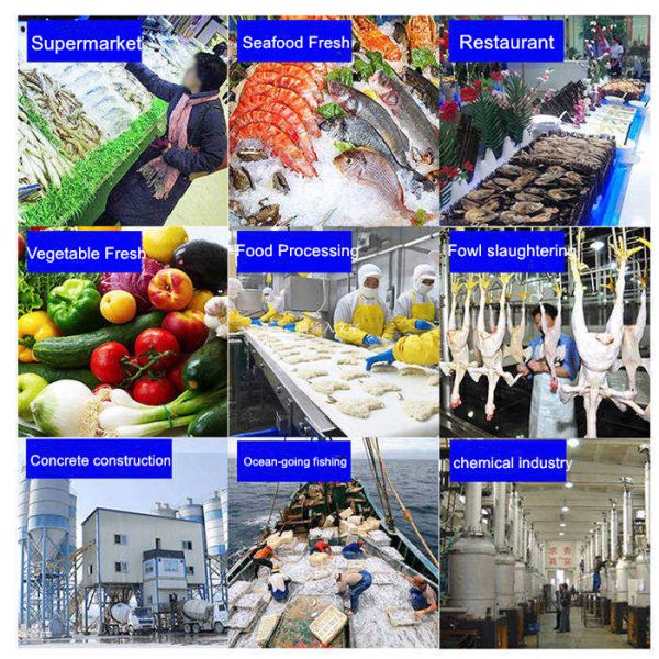 Air Cooled Fresh Water 5 Tons Flake Ice Machine